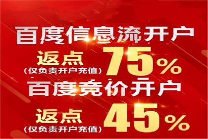 百度推广月费最低预算案例